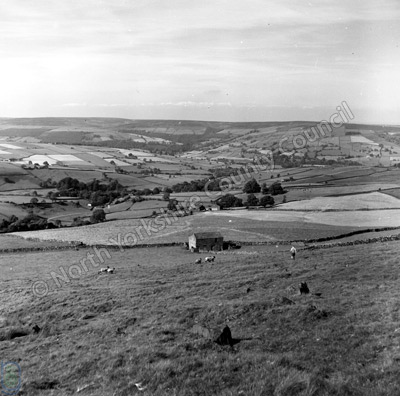 Nidderdale from Greenhow
